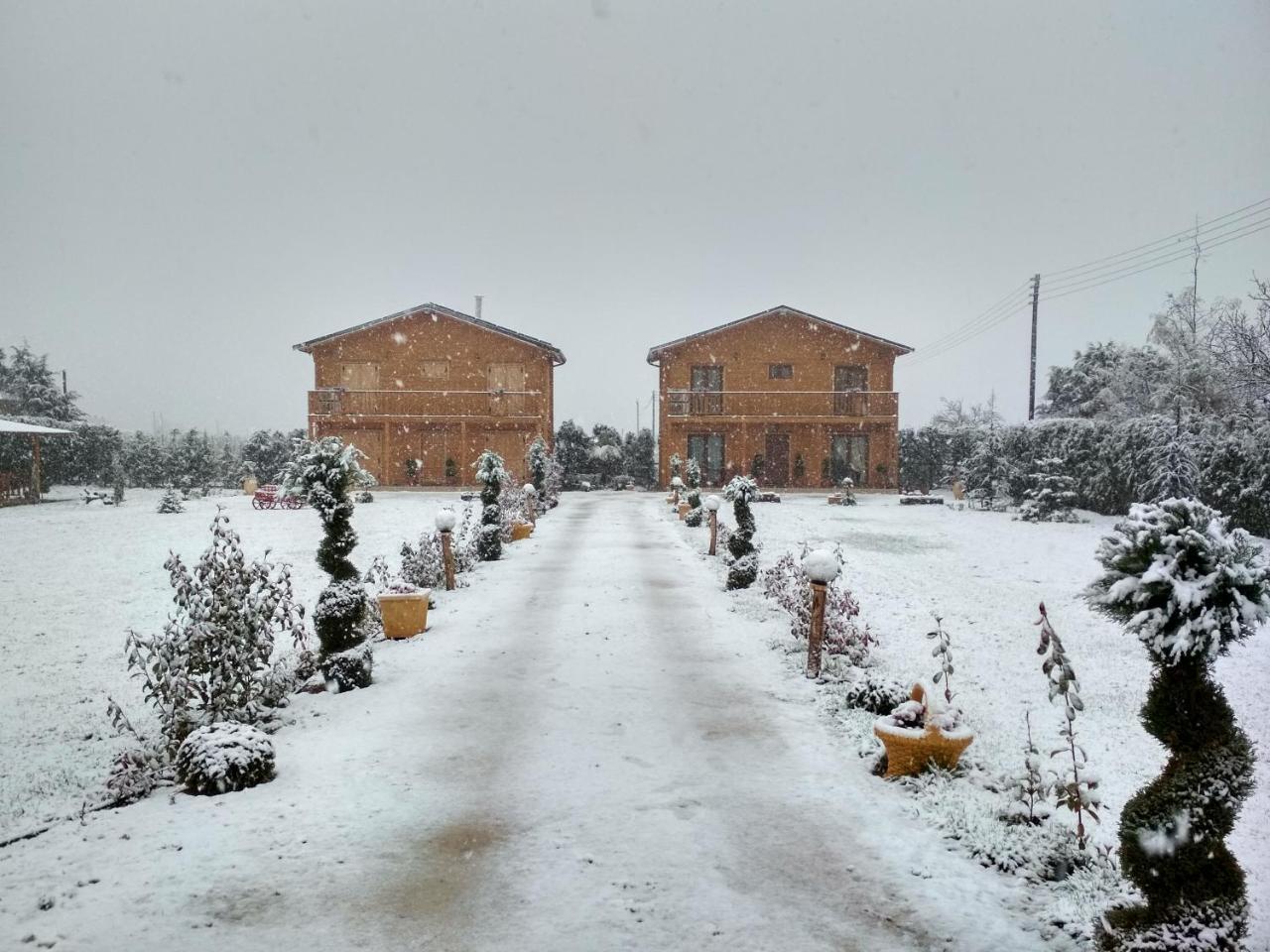 Kastor Chalets Ampelokipoi  Exterior photo